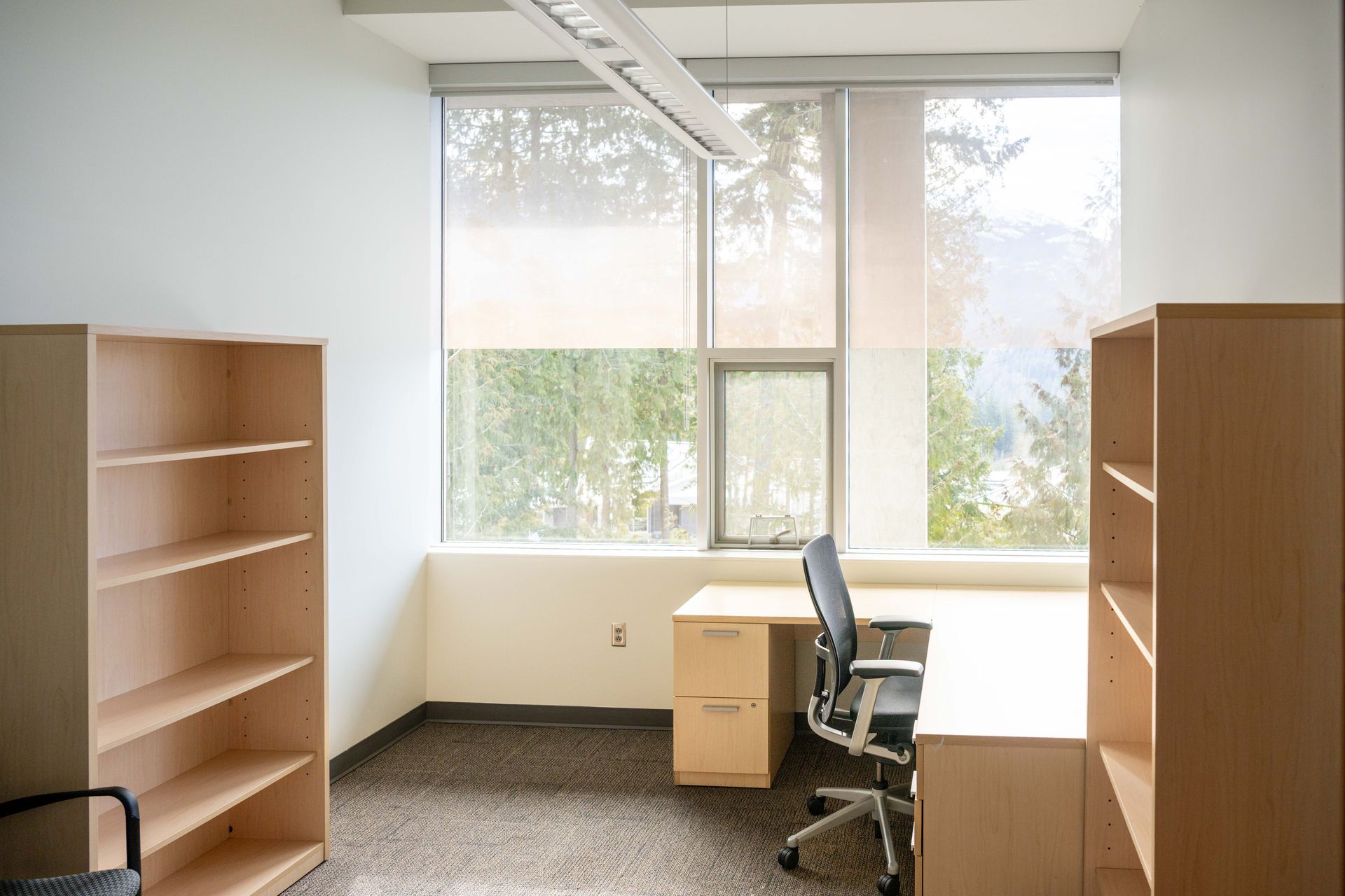 Empty office with two wooden bookcases, a desk, chair, and large window