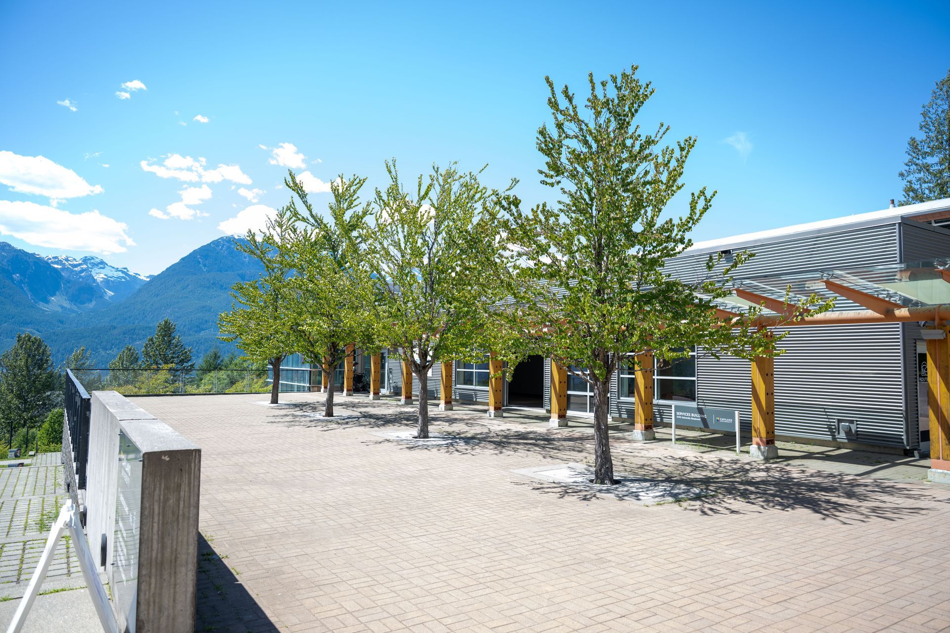 Outdoor terrace with young trees, mountains in the background, and a modern building under a blue sky
