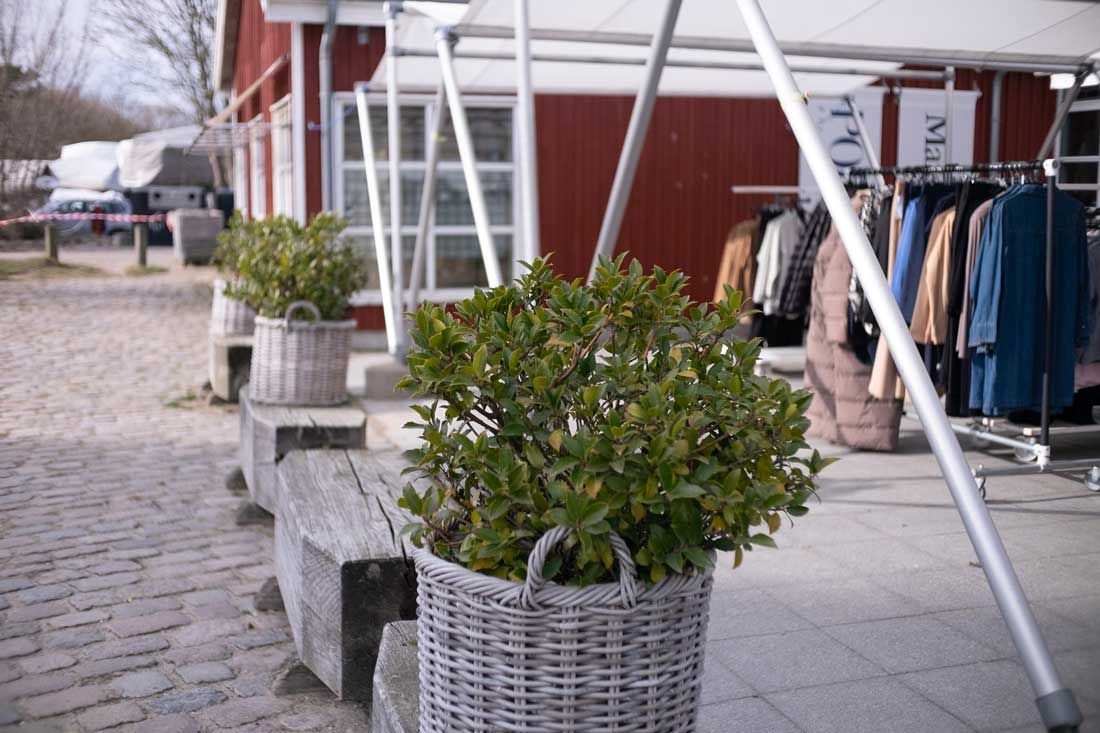 Pottebuske ved siden af en brostensbelagt gangsti ved siden af en rød bygning med tøjstativer udenfor