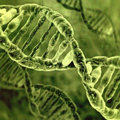Biology