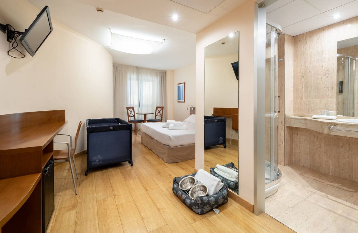 Habitación de hotel con cama, sillón, equipaje y un lavabo con espejo y ducha a la vista