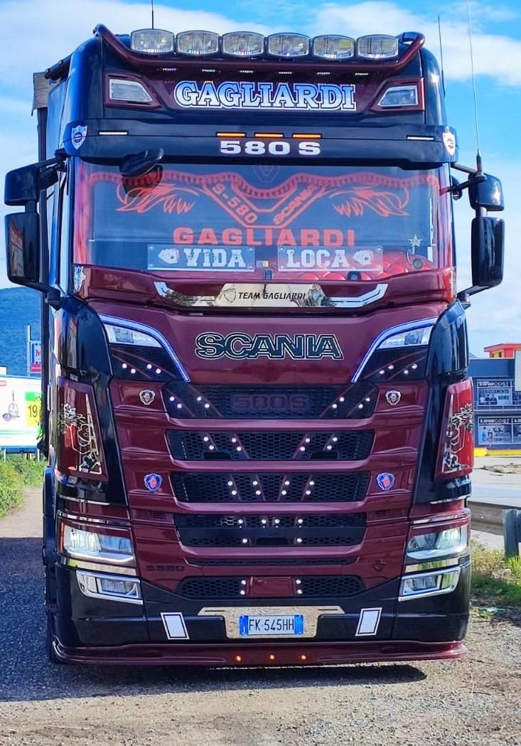 camion ford