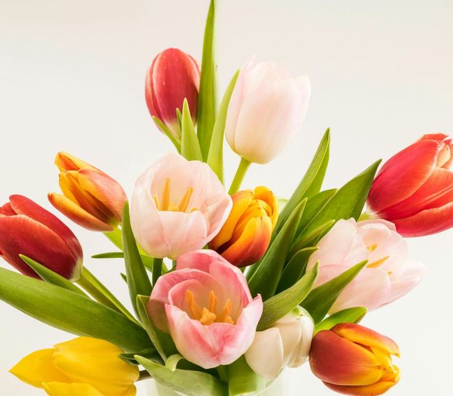 Bouquet of red, pink, yellow, and orange tulips with green leaves.