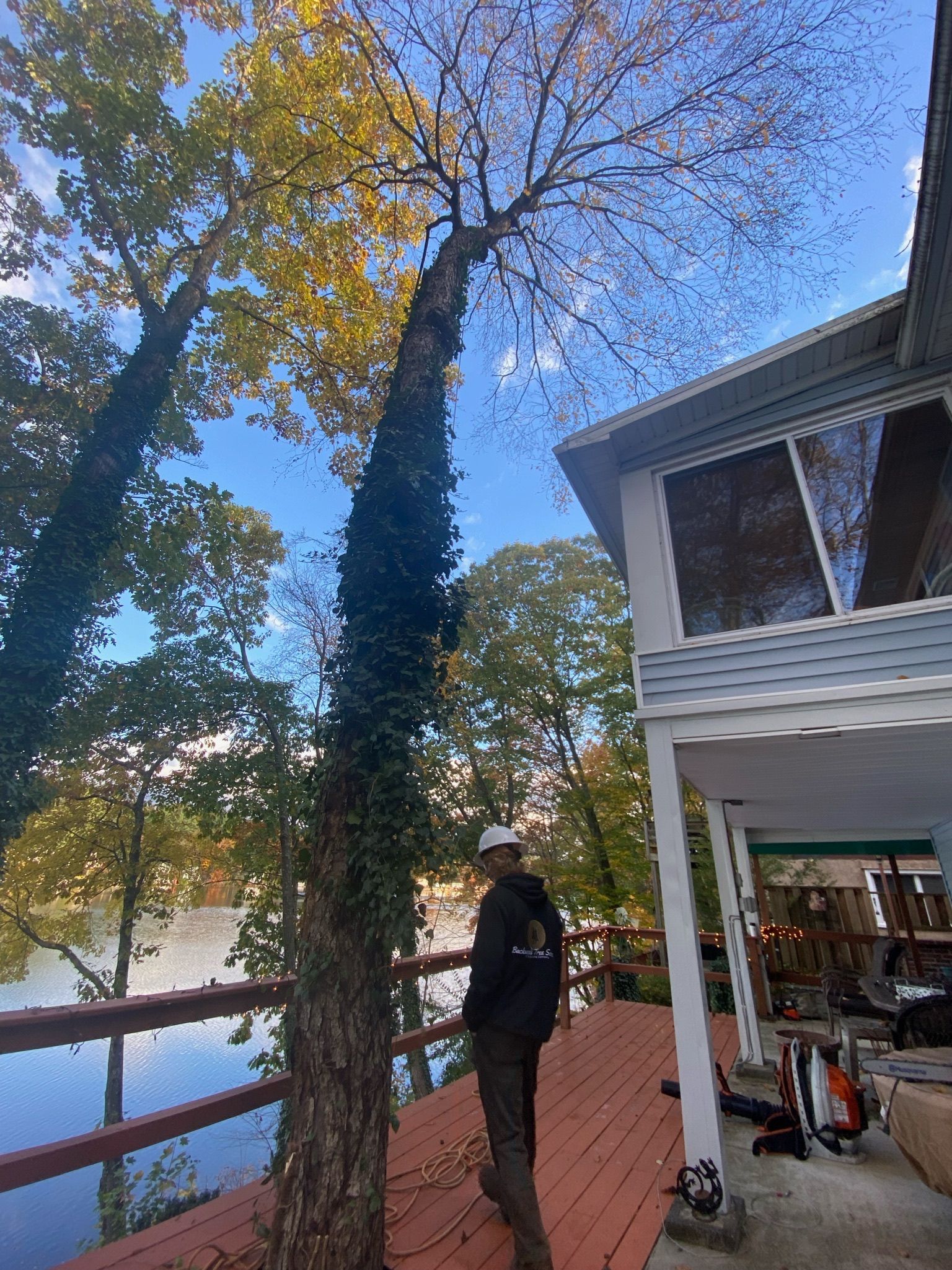 A man is standing on a deck next to a tree.
