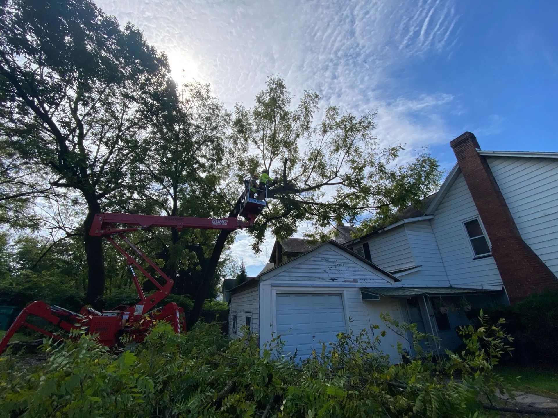 A worker in a red lift trims branches from a large tree looming over a white house on a sunny day.