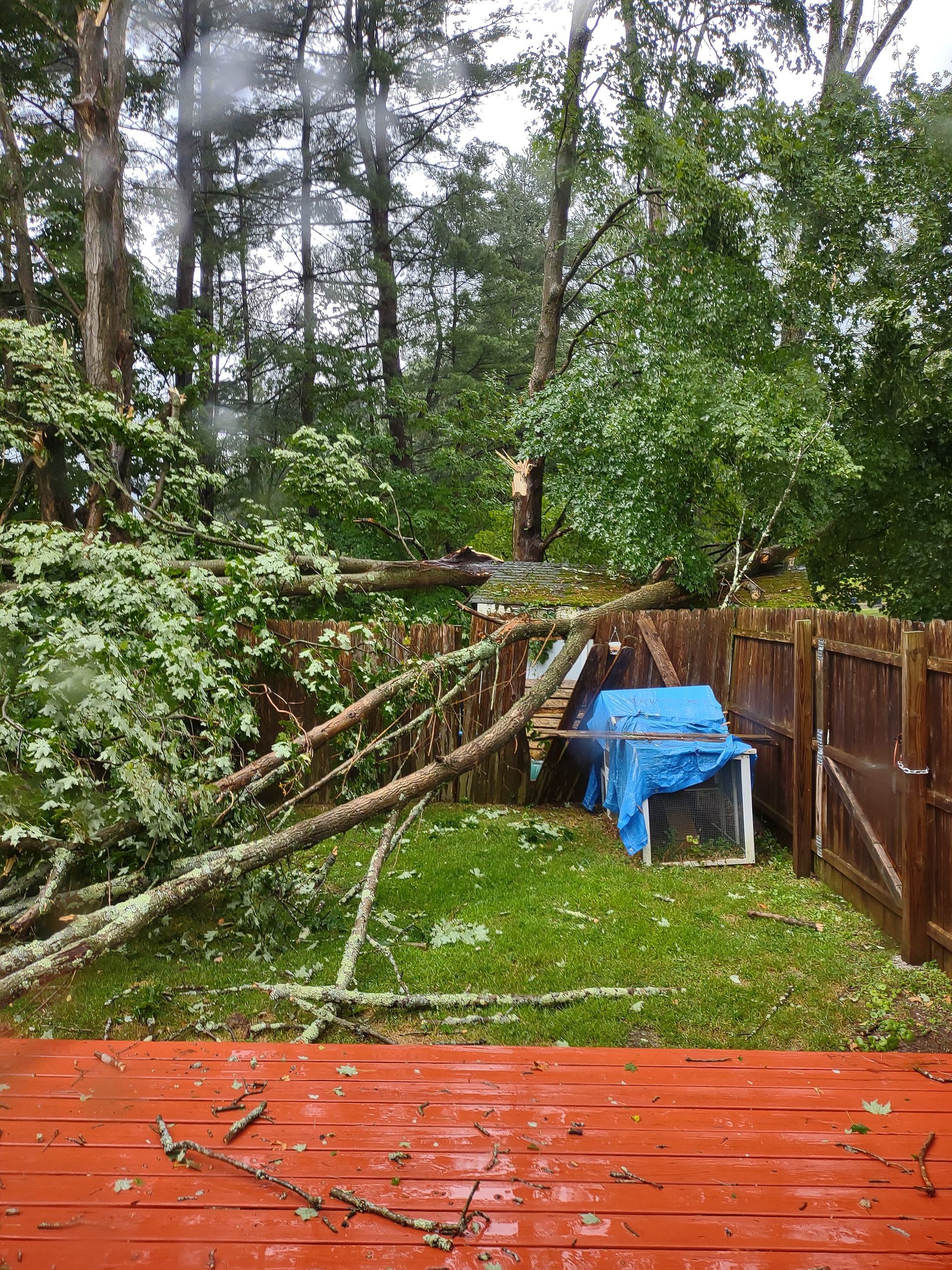 A tree has fallen on a fence in a backyard.