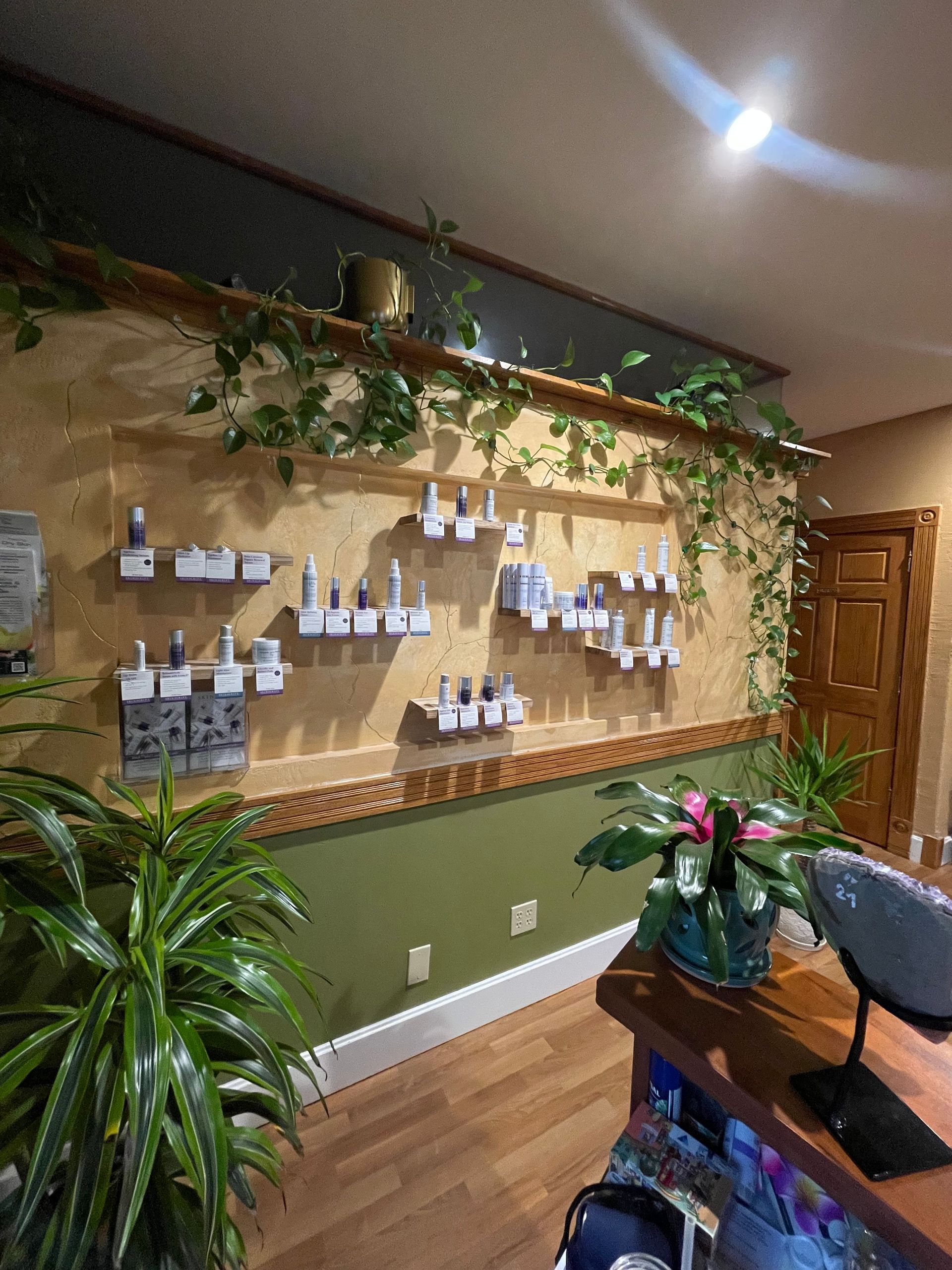 Indoor display wall with hanging greenery, rows of small cards, and a potted plant in a cozy room