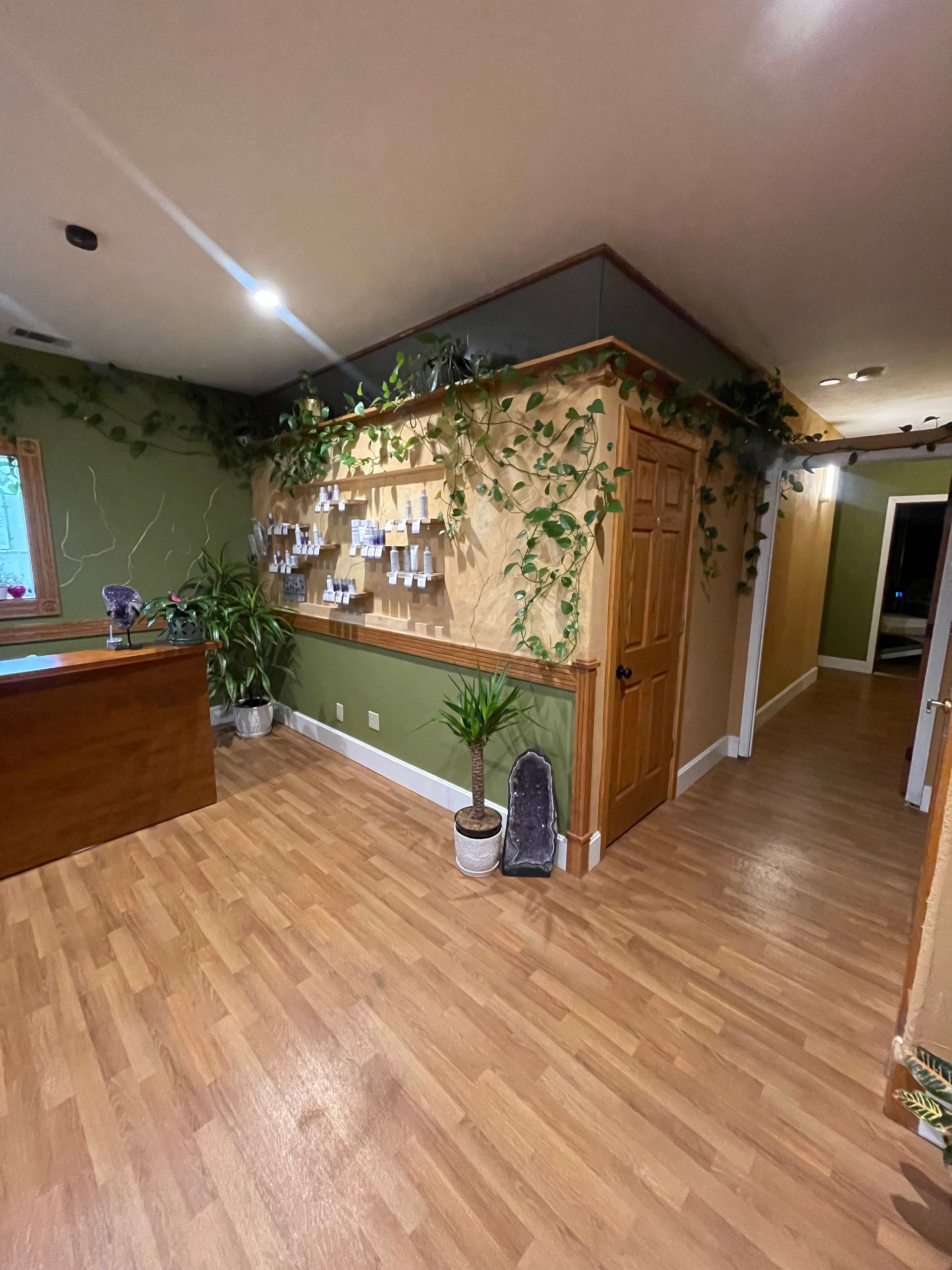 Lobby with wood floors, green walls, hanging plants, and a hallway beside a wooden reception counter.
