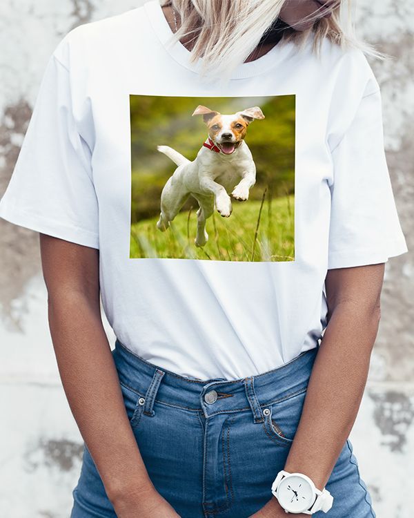 APPAREL & WEARABLE