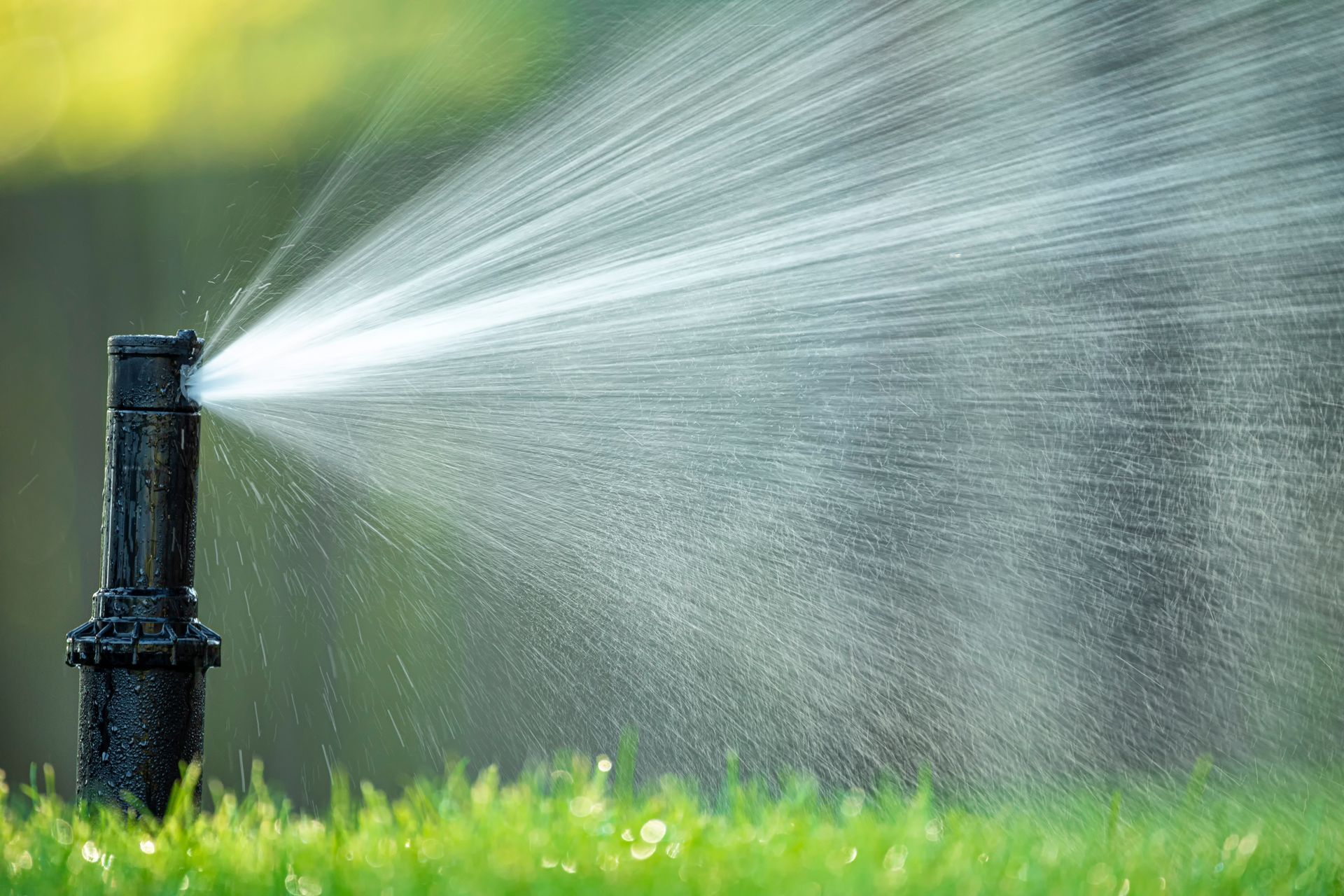 A water sprinkler. A water sprinkler.