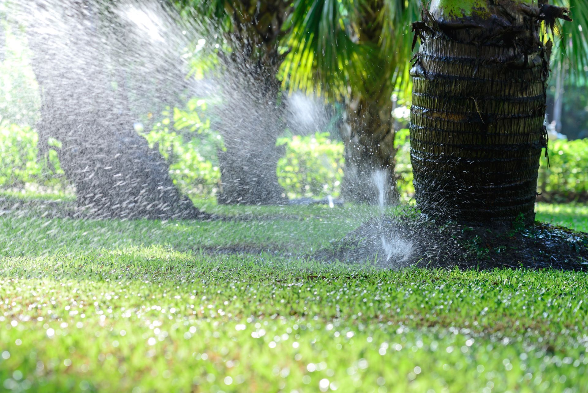 A sprinkler is spraying water on a lush green lawn in a park.