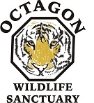 The logo for octagon wildlife sanctuary shows a tiger 's head in an octagon.