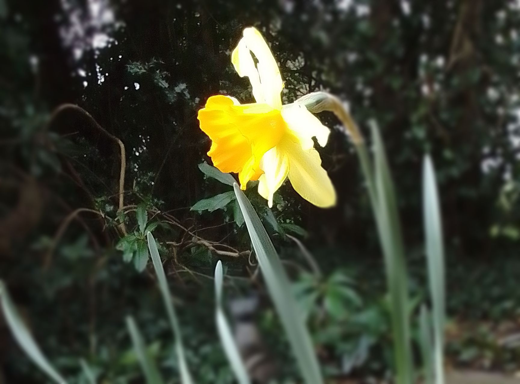 Easter