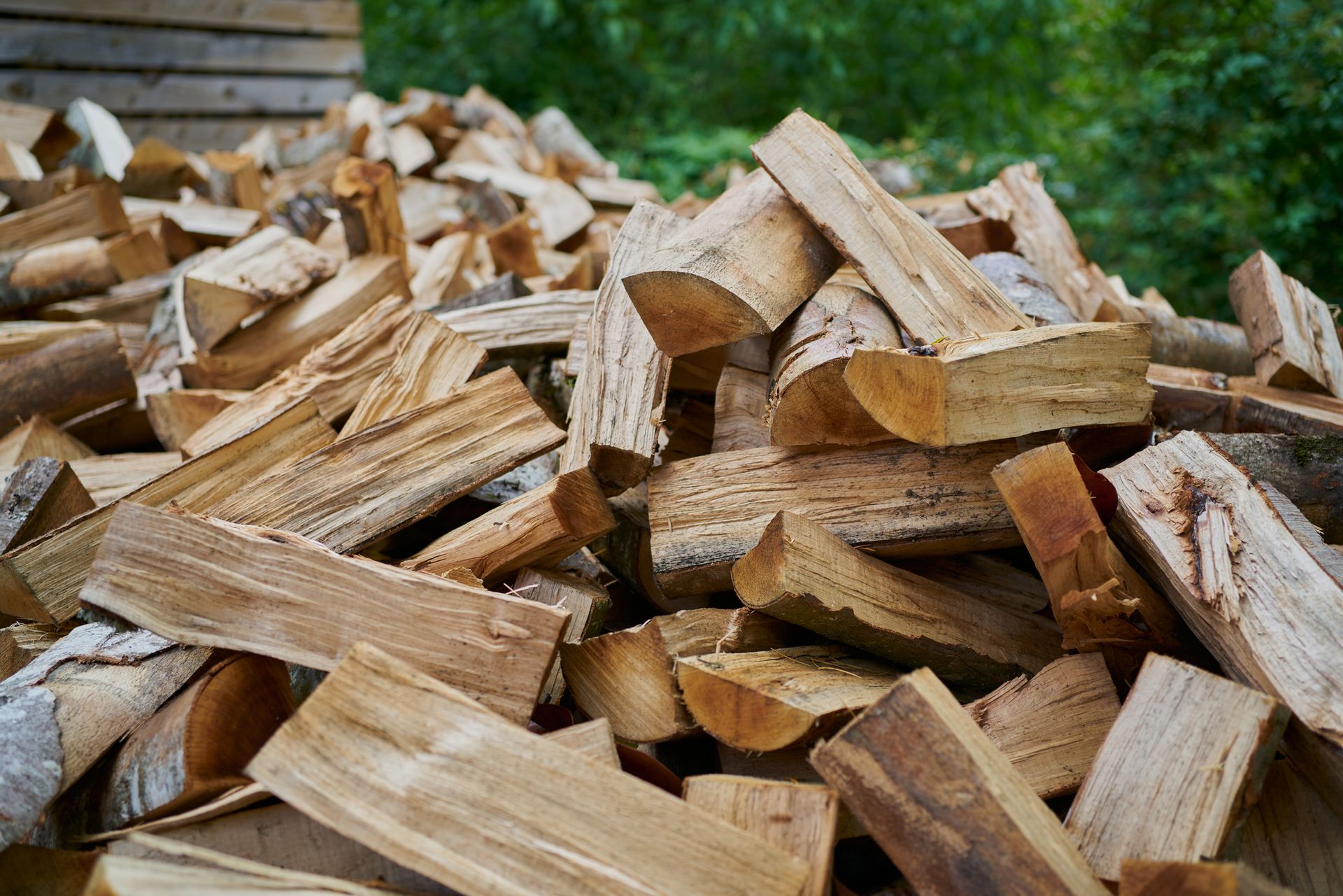 Cutted Woods — Port Crane, NY — DJ Acres