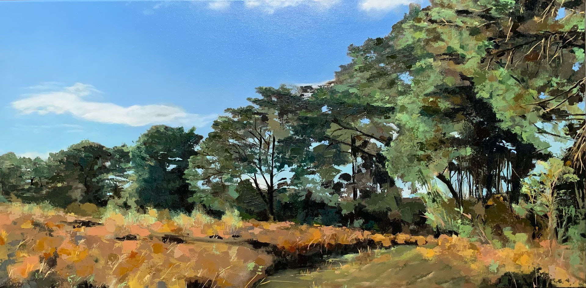  'Highly Commended' - 2024, AOTY, SAA - Tunstall Forest, oil on canvas, 100 x 50cm, framed