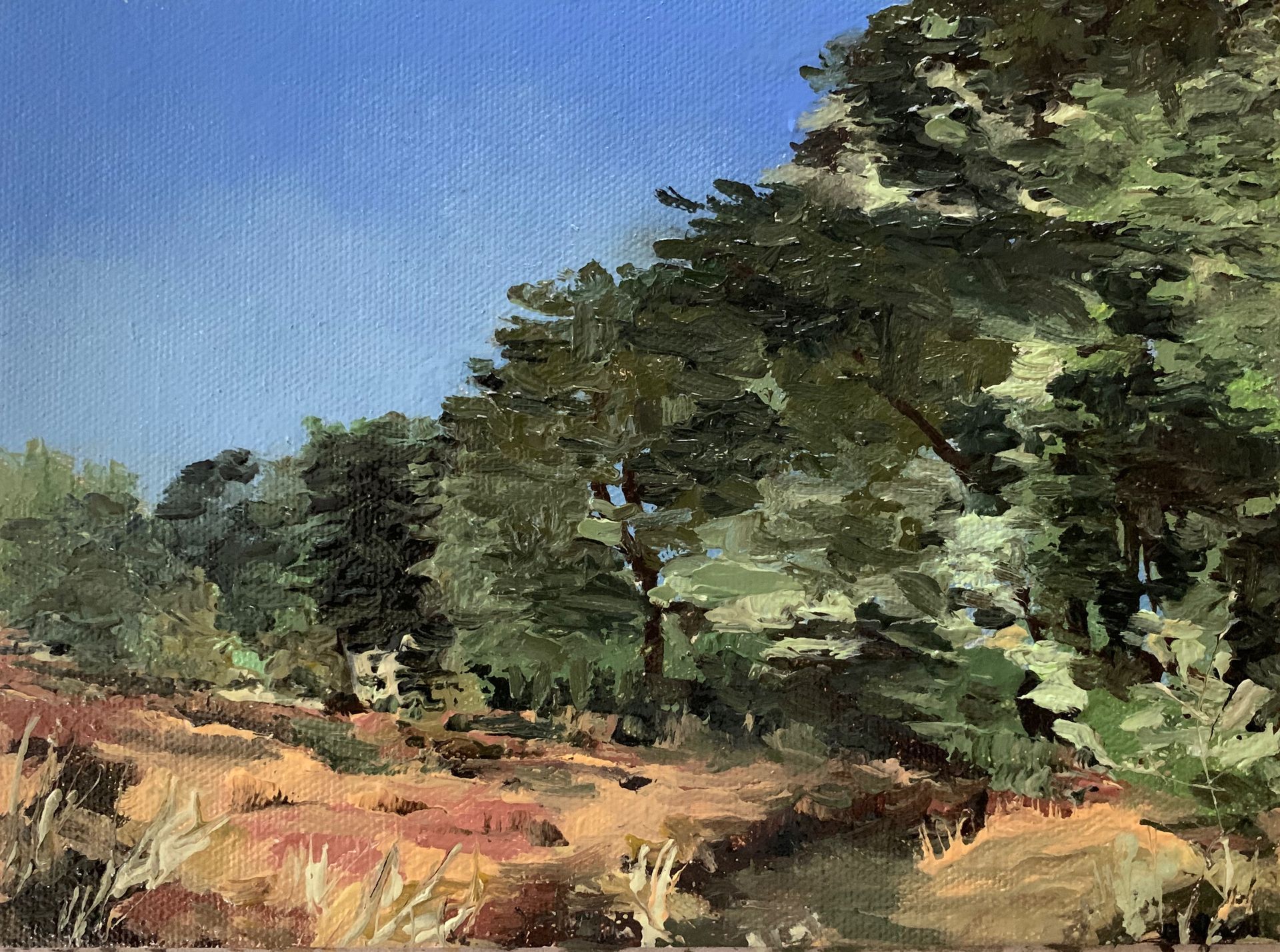 Forest Path, Tunstall Forest, oil on canvas, 19.5 x 13.5cm, framed