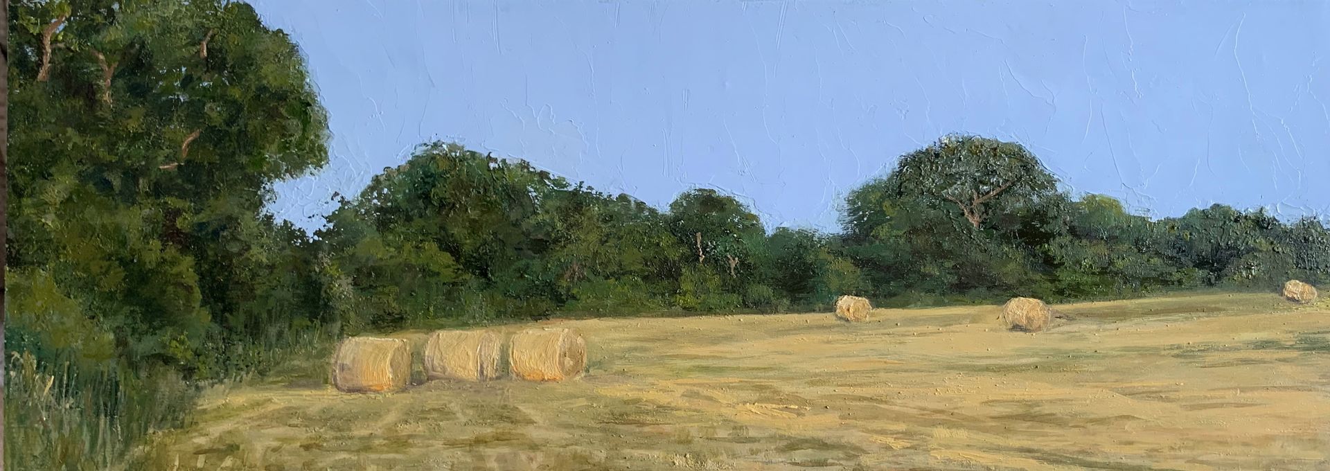 Sunlit grassy field with hay bales beside a line of green trees under a blue sky