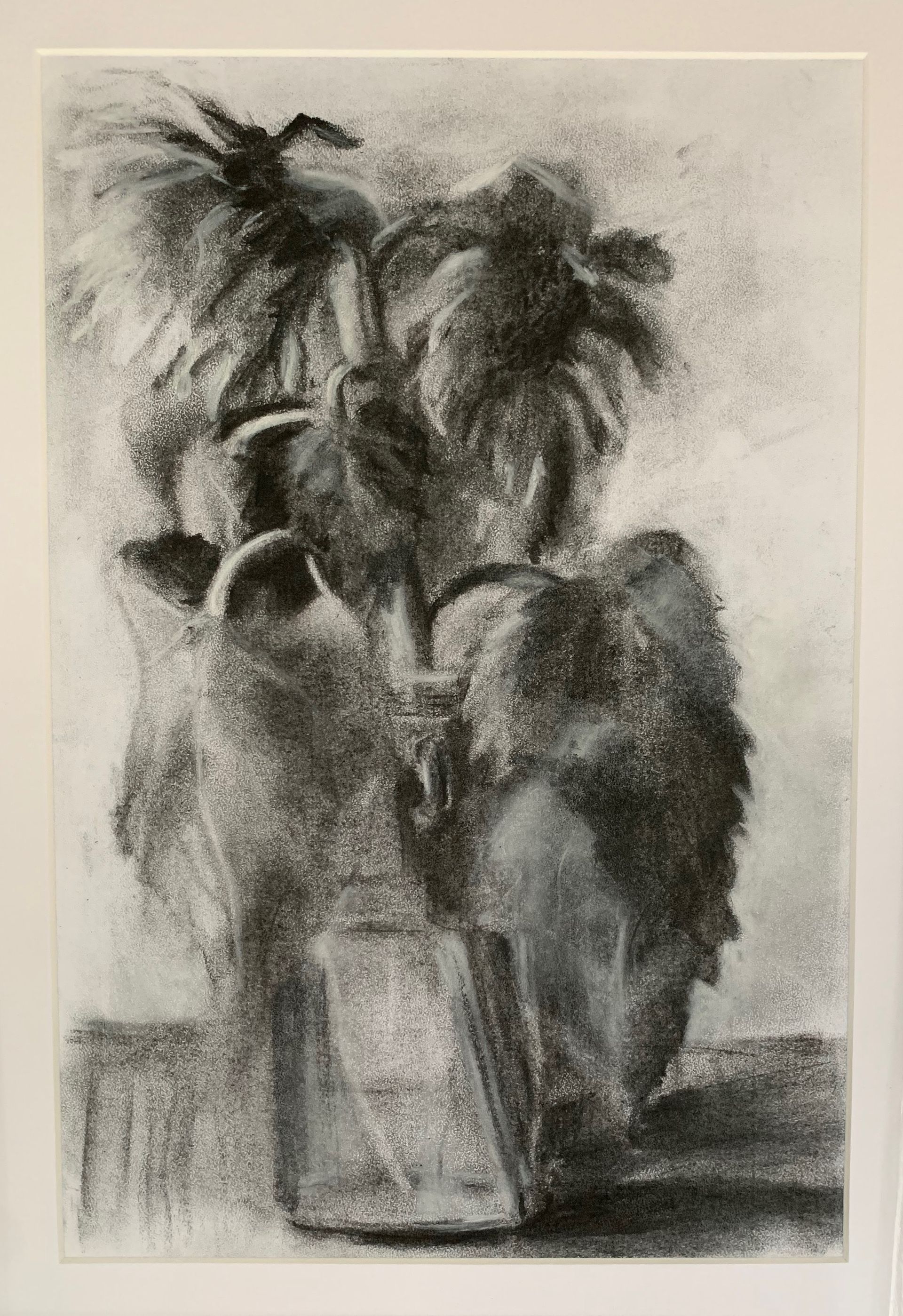Charcoal sketch of a leafy plant in a vase on a table, with soft shading and a textured background