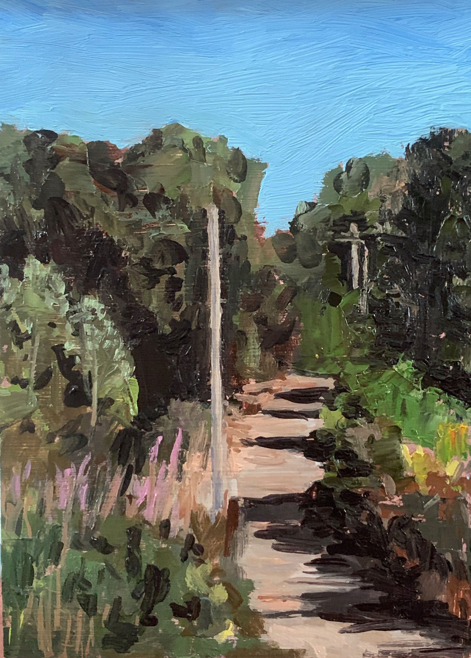Sunny garden path lined with greenery and flowers under a blue sky