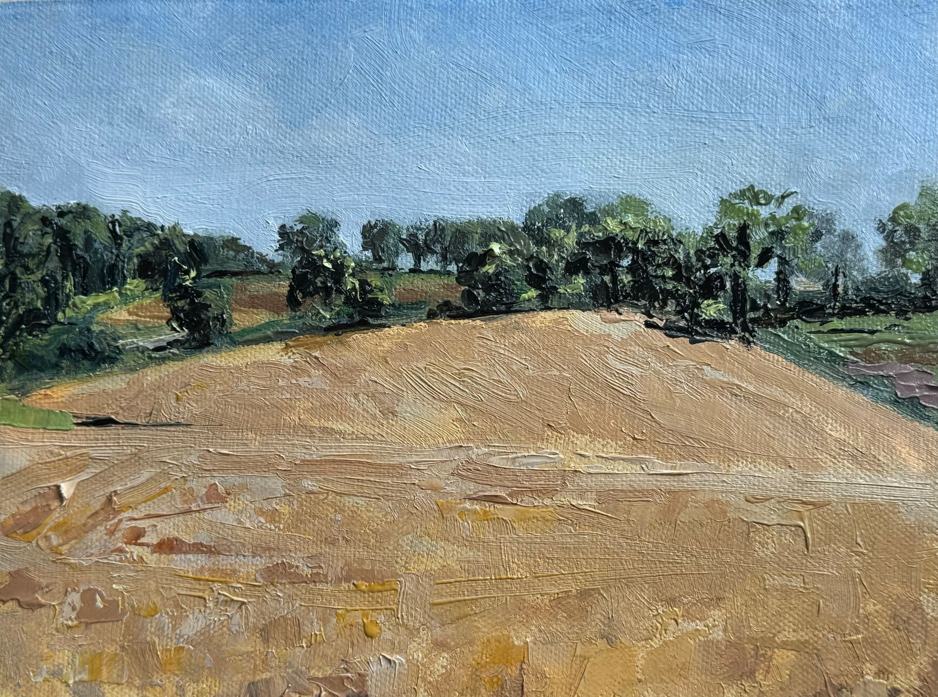Sunlit plowed field with a line of trees under a blue sky