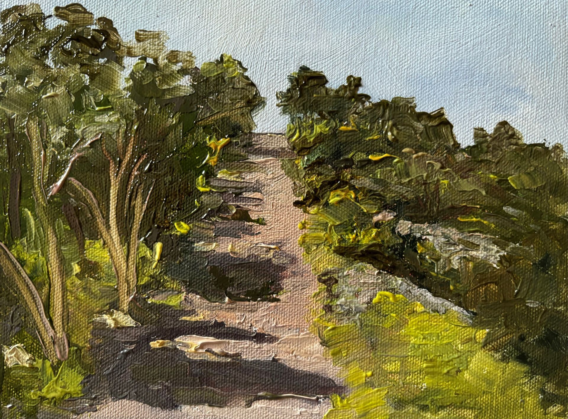 Woodland Walk, Xemxija, Malta, oil on Canvas, 8 x 6