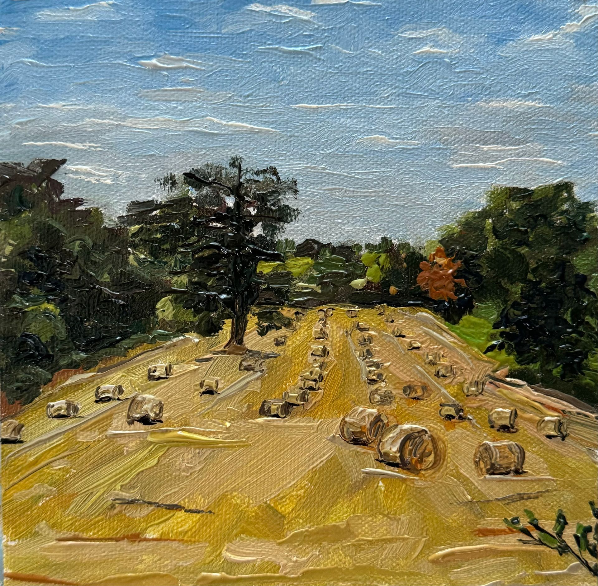 Hay bales scattered across a golden field under a blue sky, bordered by green trees.