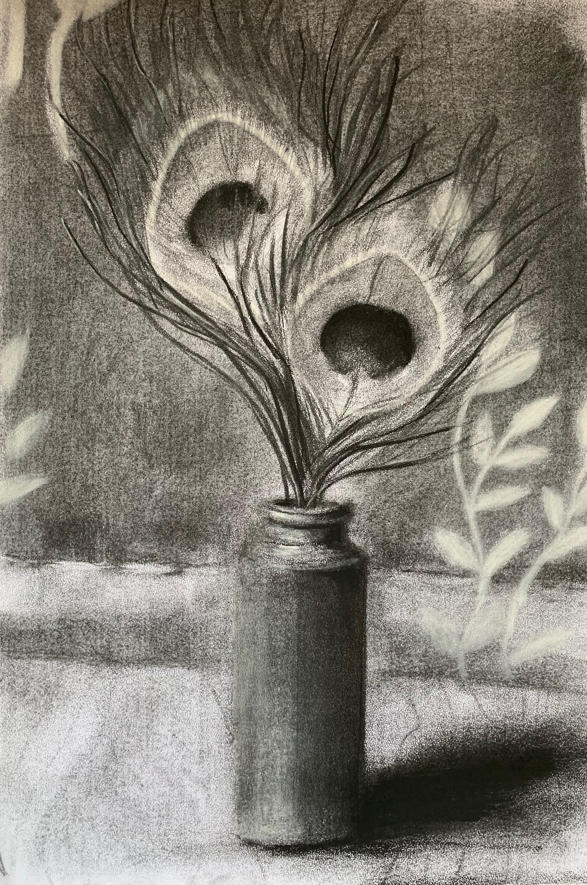 Charcoal sketch of peacock feathers in a small vase, with soft shadows and textured background