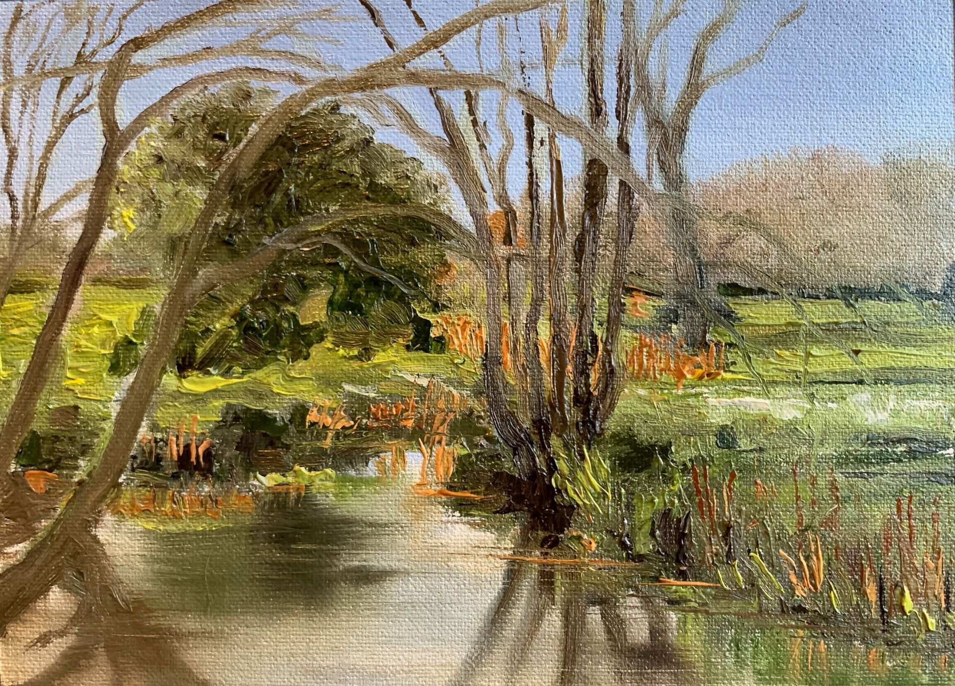 Sunlit wetland with trees arching over calm water and green marsh grasses