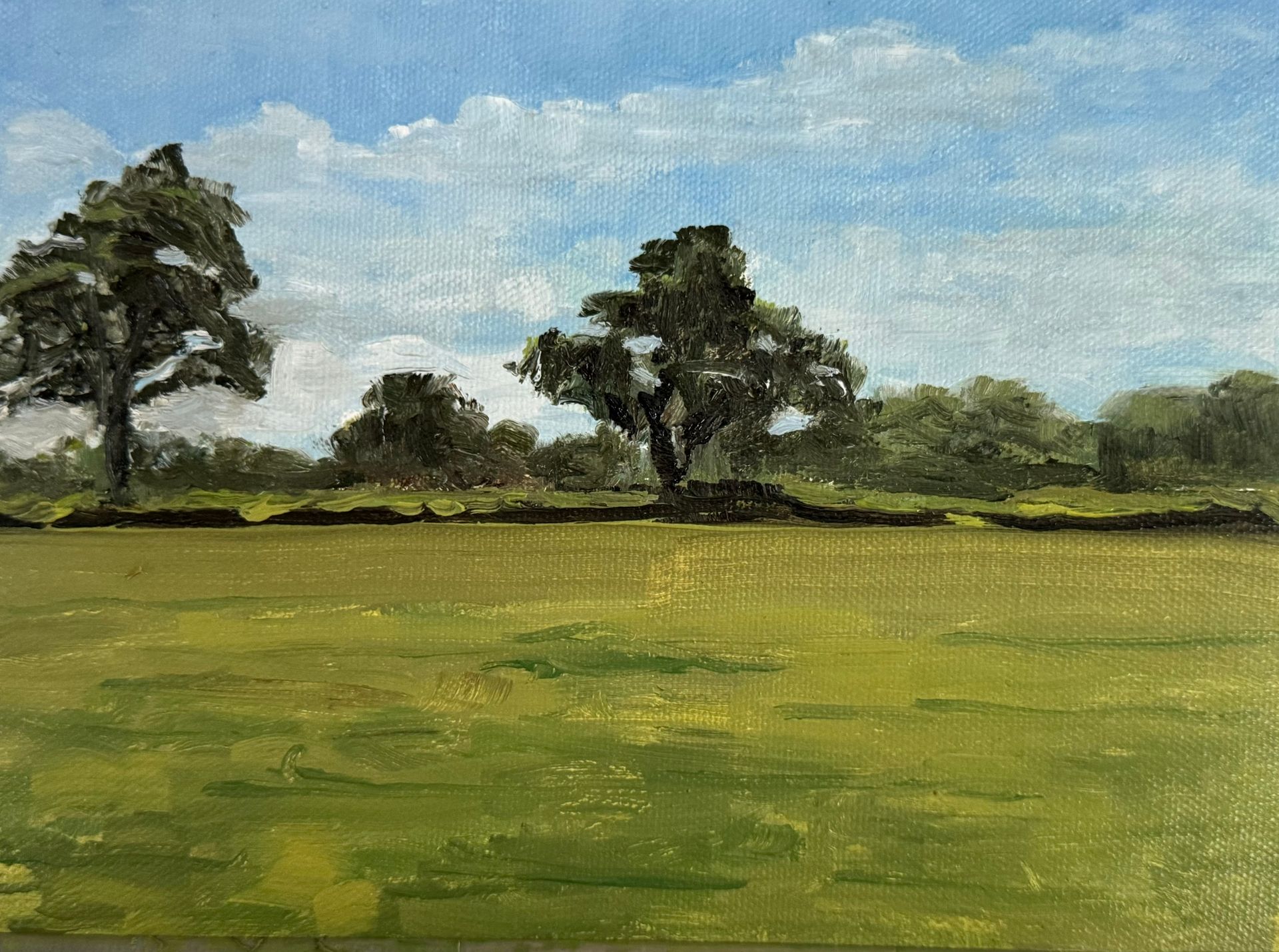 Painting of a grassy field with scattered trees under a blue, cloudy sky