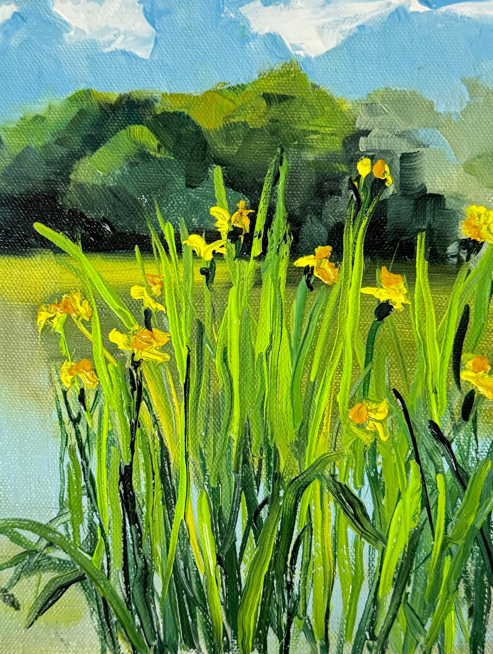 Wildflowers and tall green grasses in a sunny meadow with trees in the background.