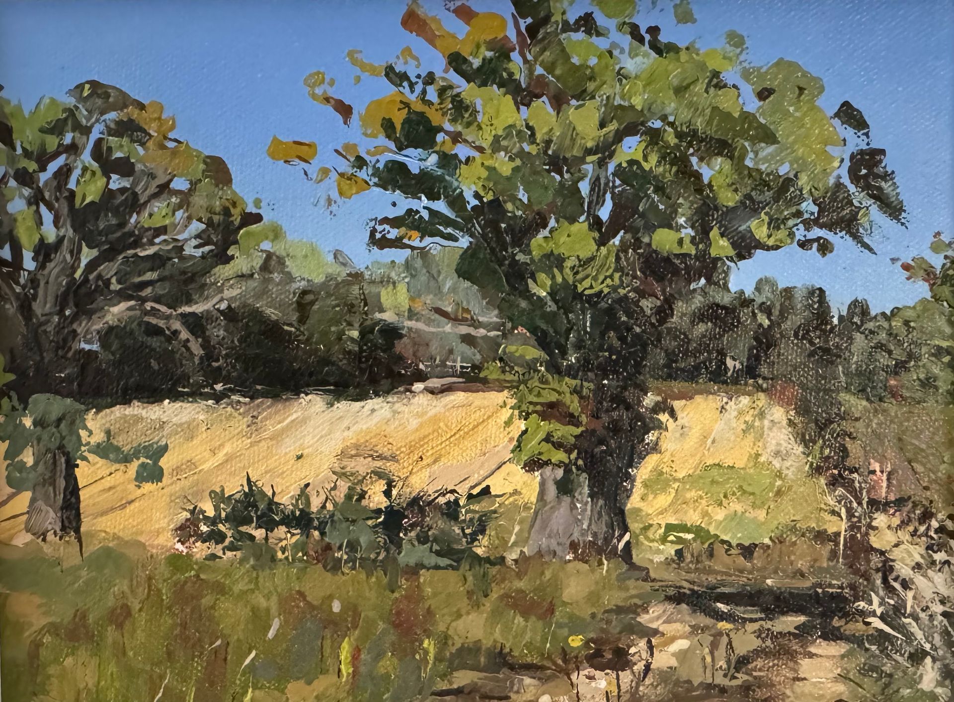A tree in a sunlit field with yellow grasses and a blue sky, painted in loose strokes.