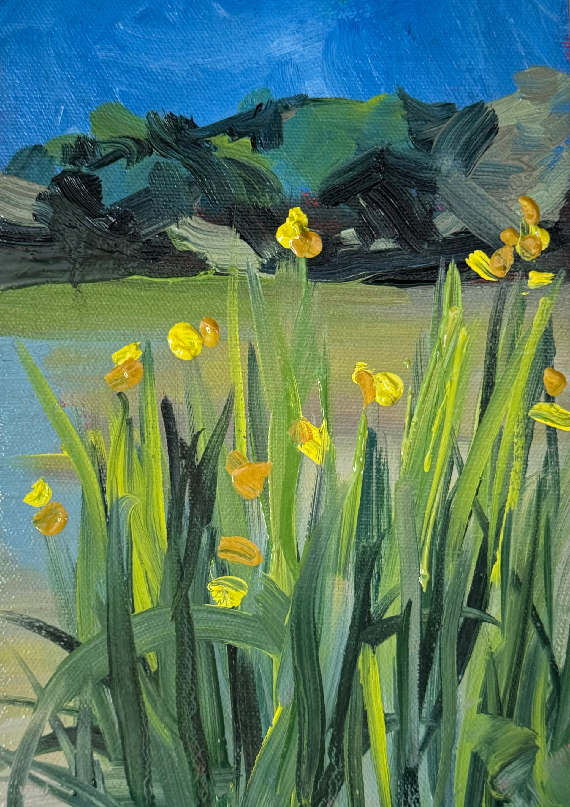 Yellow flowers and tall green grass in a field under a blue sky