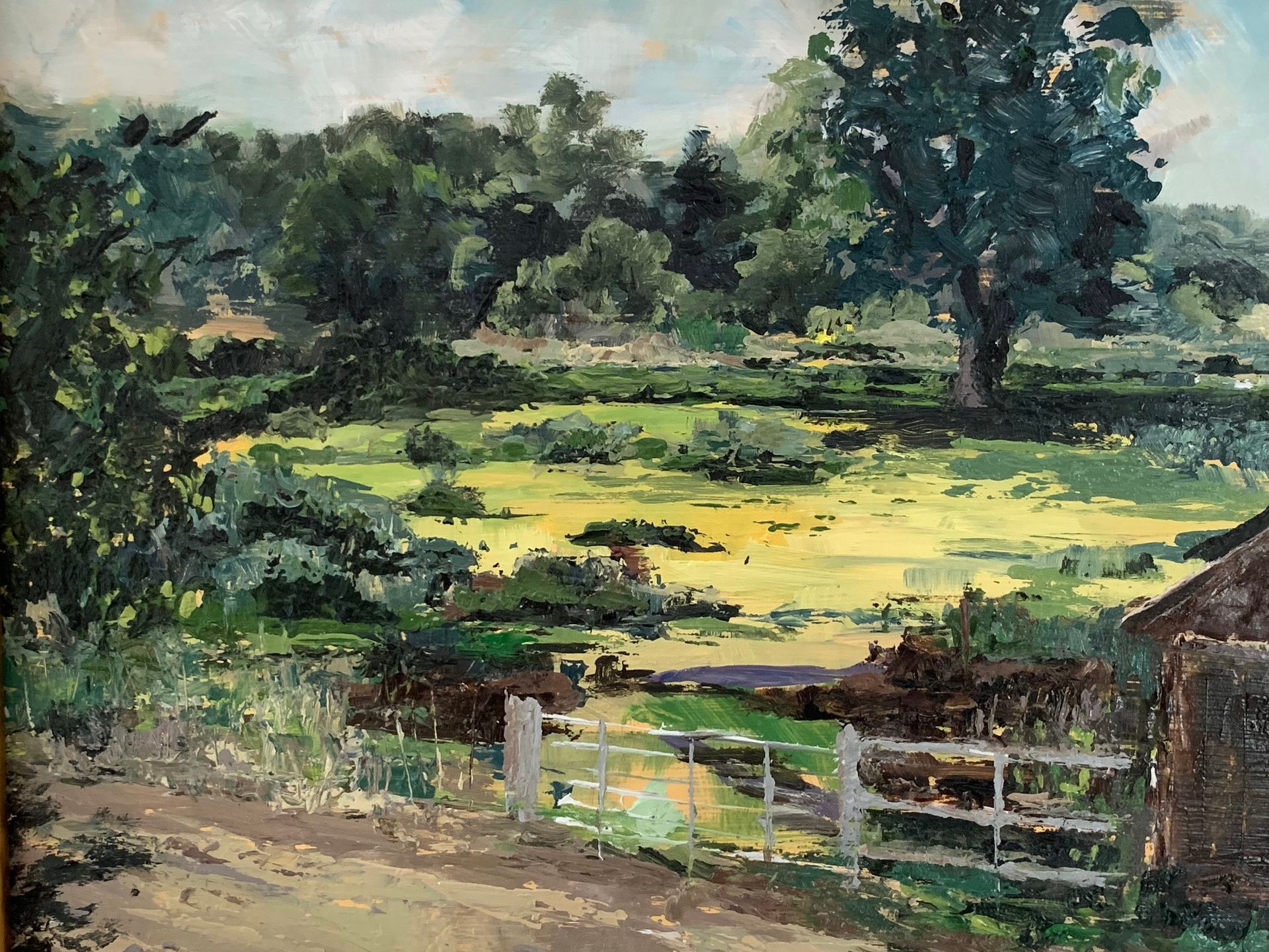 Rural meadow with yellow wildflowers, trees, and a white gate under a cloudy sky
