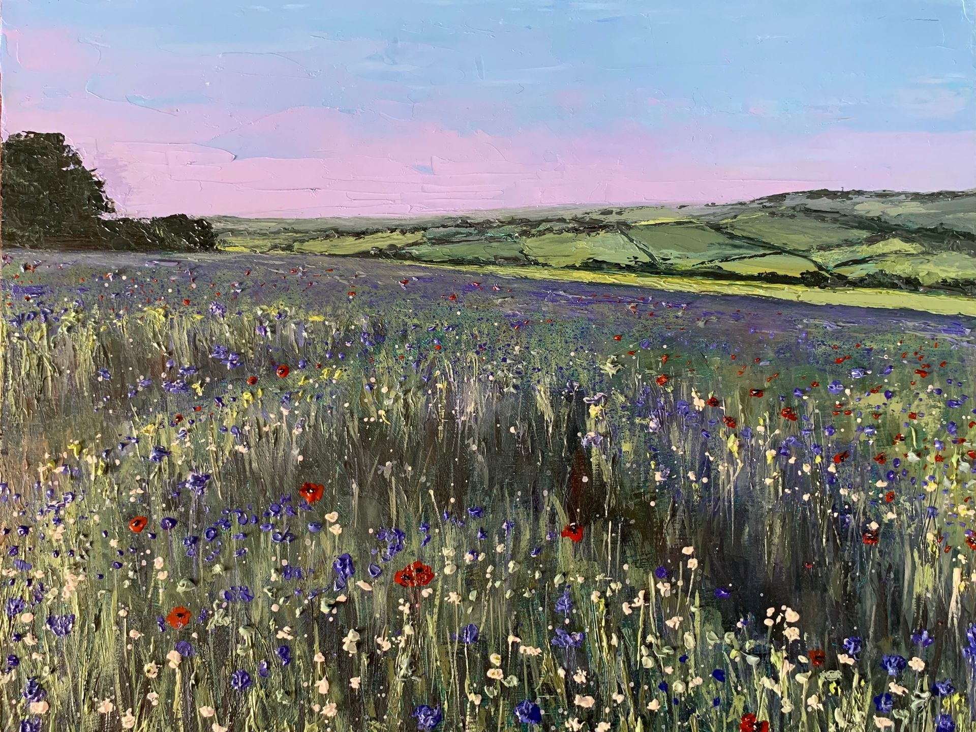 Wildflower meadow under a pink sky, with rolling green hills in the distance.