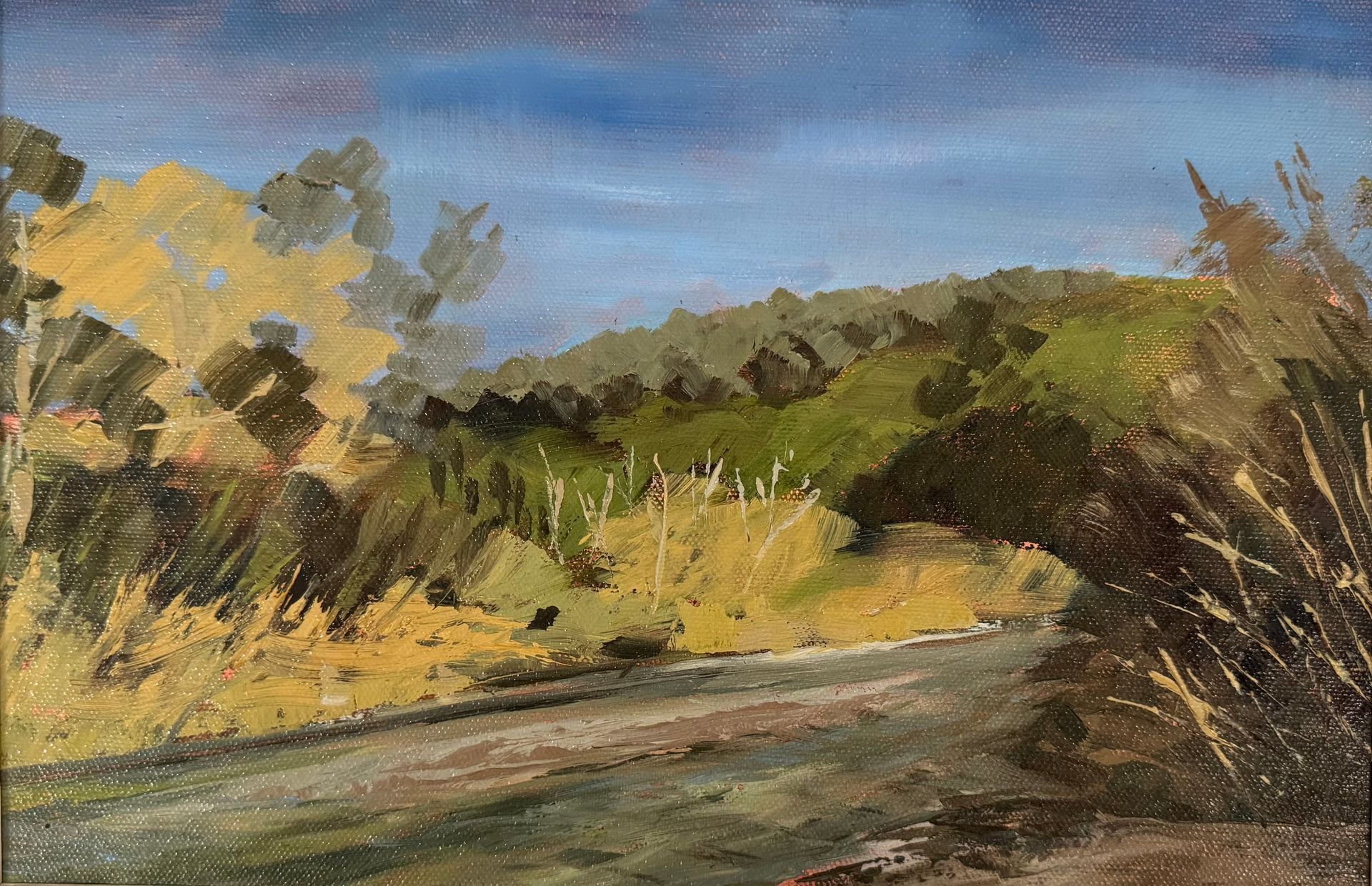 Sunlit dirt road winding through grassy hills with shrubs and trees under a blue sky