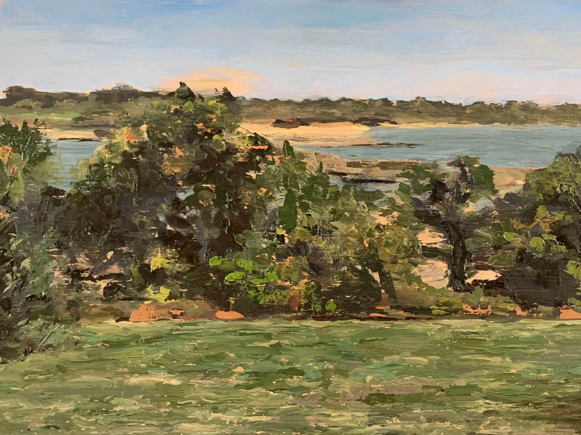 Sunlit coastal landscape with green shrubs, water, and a distant shoreline under a pale sky
