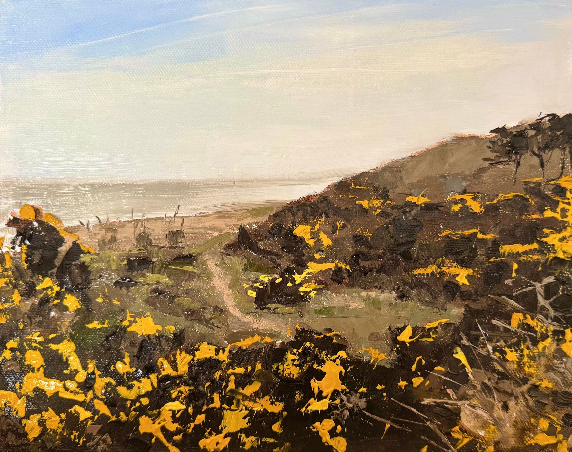 Coastal hillside with yellow wildflowers overlooking a calm sea under a hazy sky