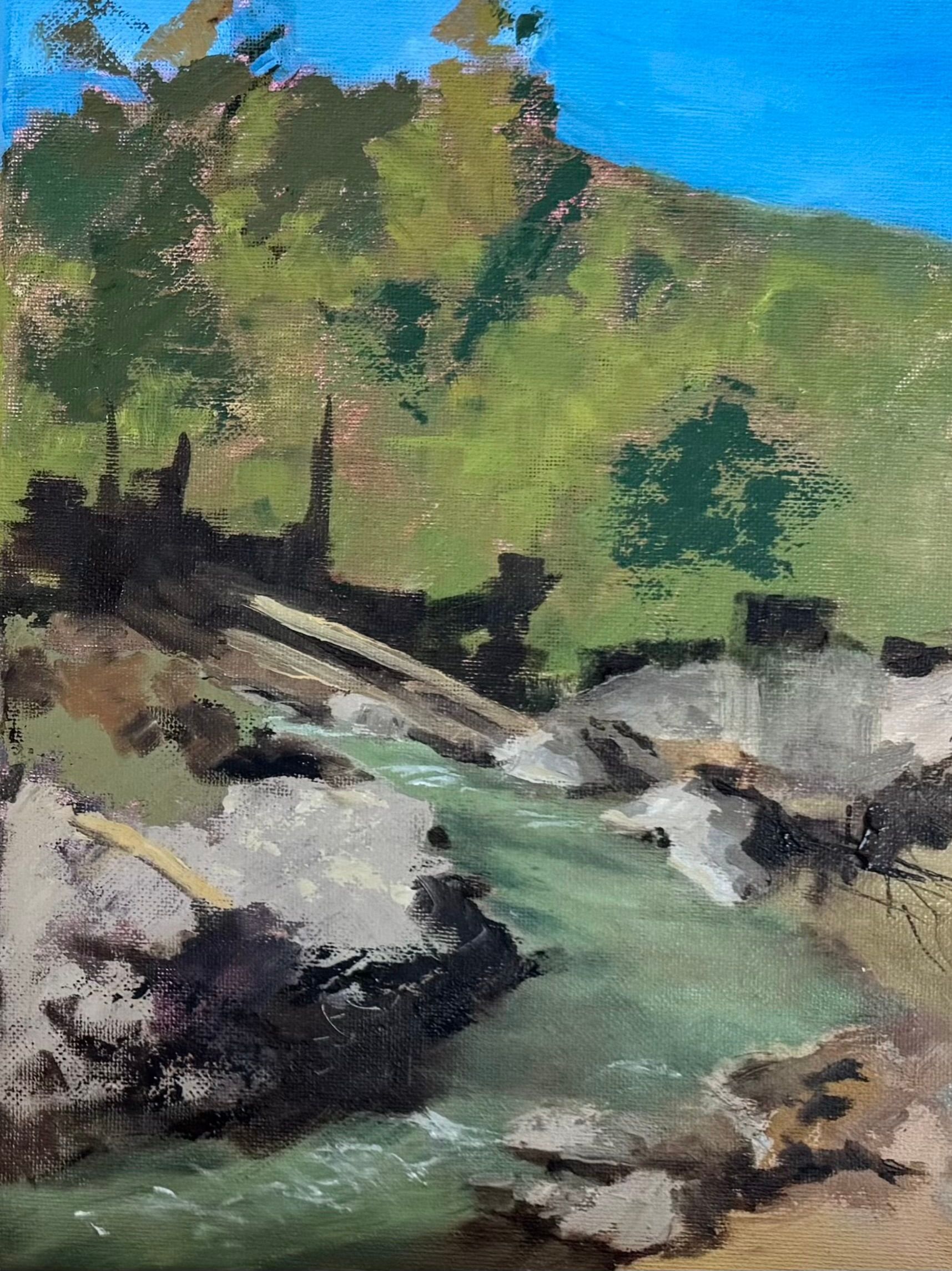 Mountain stream with green water, rocky banks, and trees under a blue sky