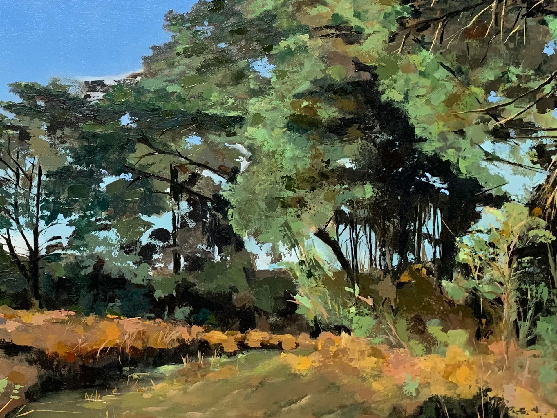Sunlit forest with tall trees and orange undergrowth in a loose impressionist style