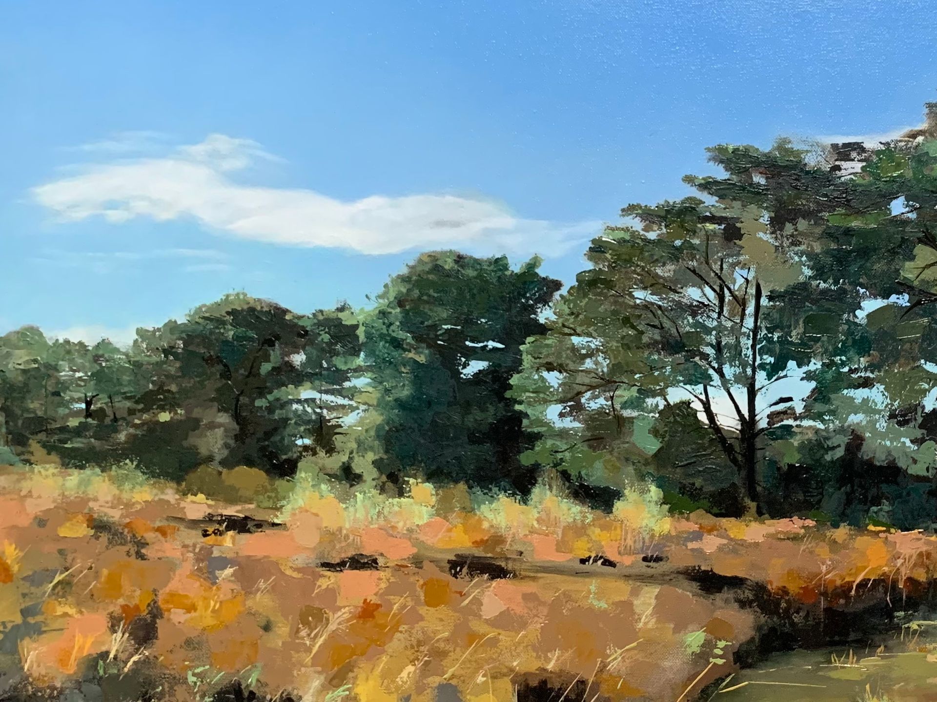 Open field with tall golden grass, trees, and a blue sky with clouds.