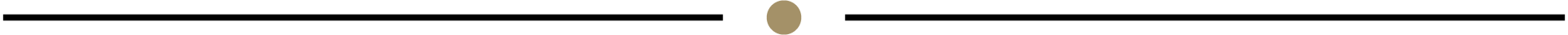 Thin black horizontal line with a small tan dot centered between two black bars on a white background
