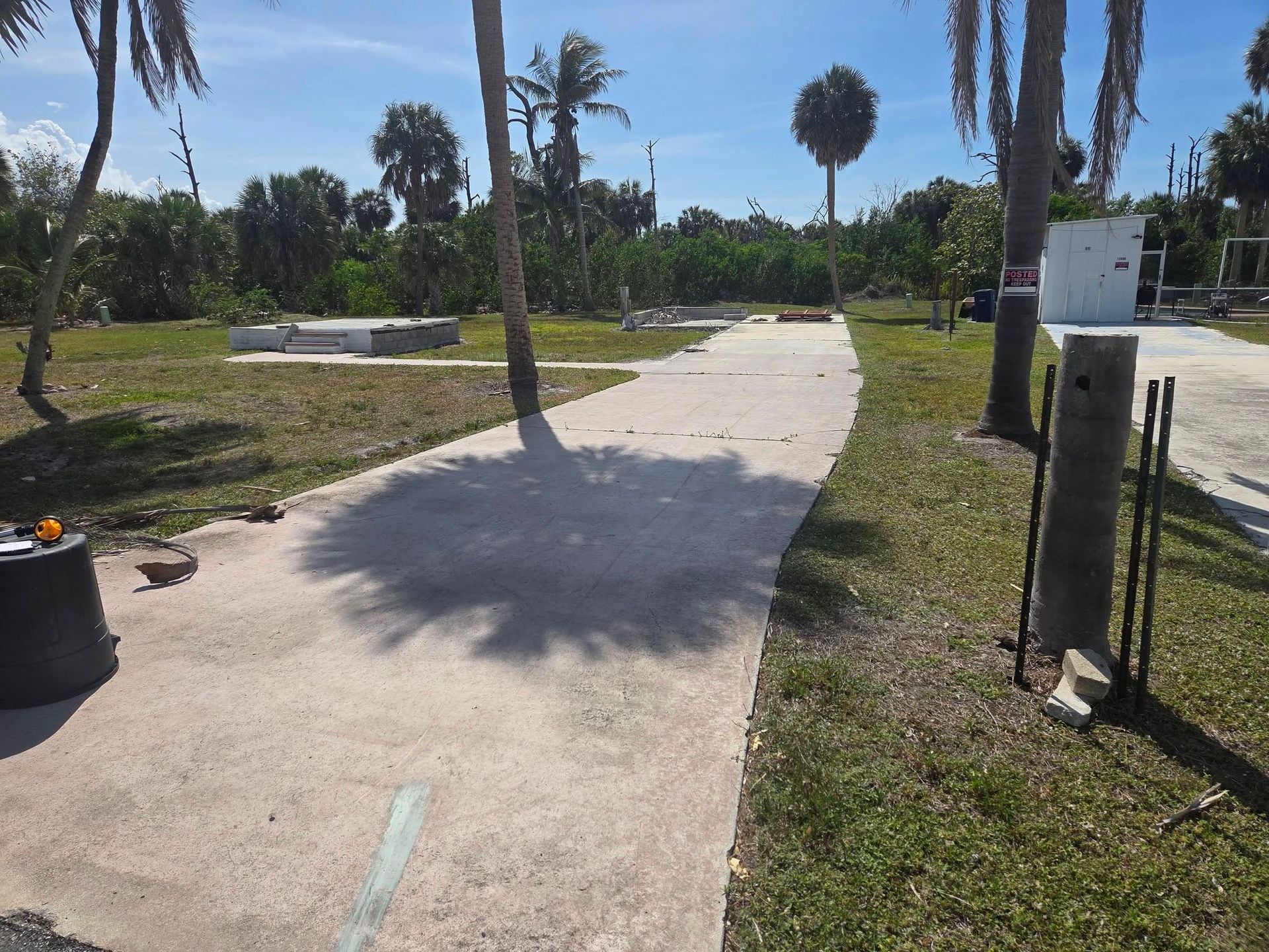 Concrete path through a sunny park with palm trees and grass on both sides