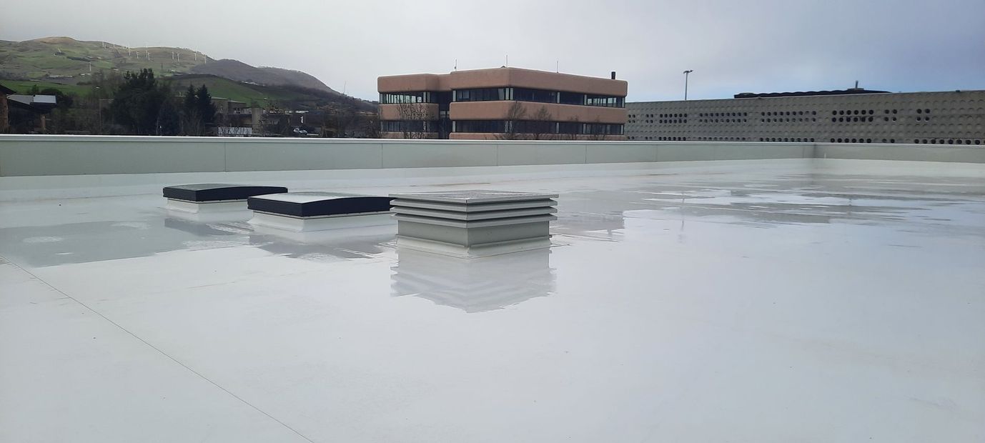 Fispo srl impermeabilizzazioni industriali