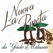 Logo di Nuova La Pineta, raffigurante alberi stilizzati e un piccolo edificio in marrone e verde, con testo.