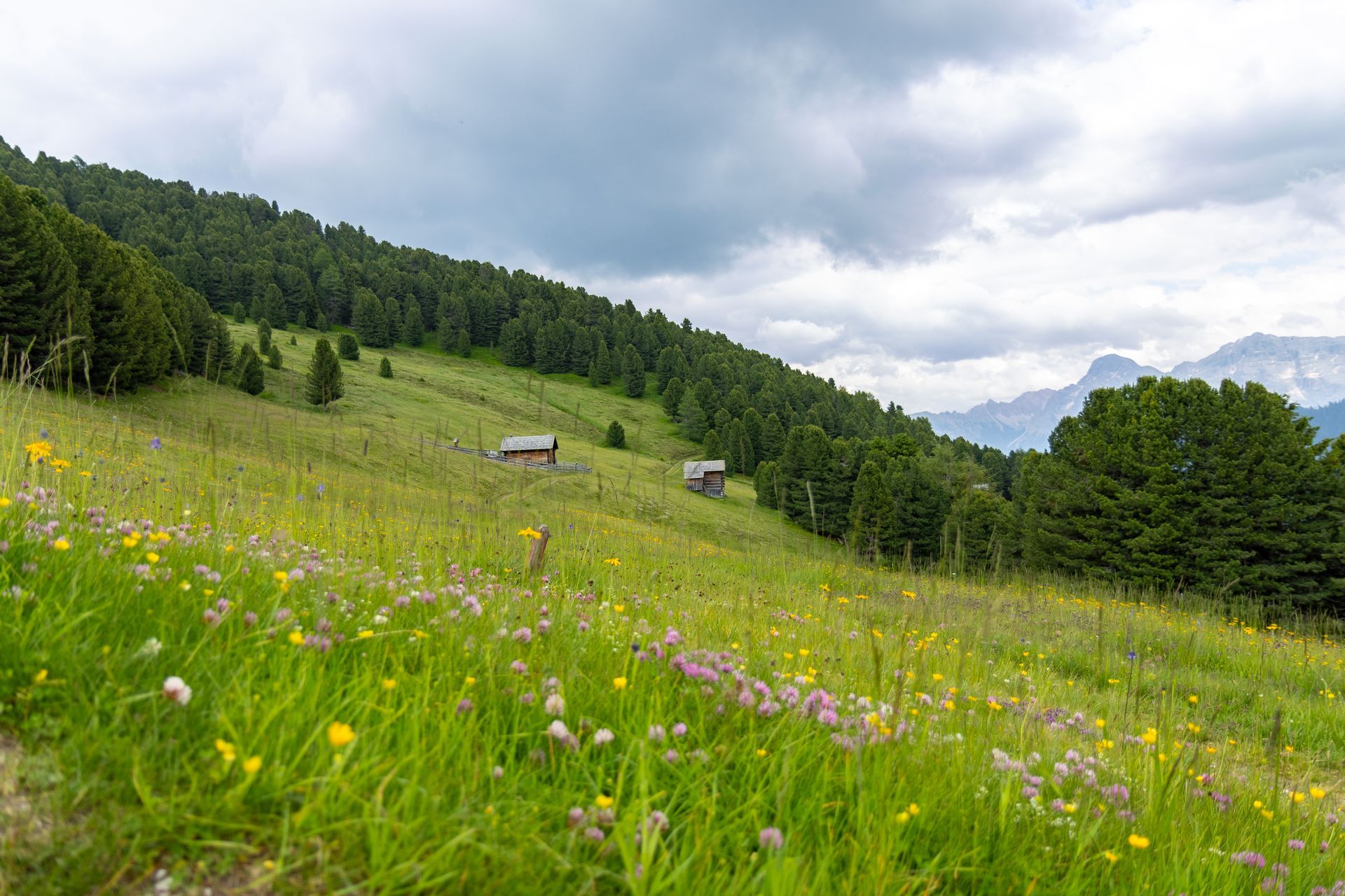 Erlebe Resilienztraining und Einzelgespräche in der Natur. Finde Balance und Kraft auf jedem Schritt deiner Reise.