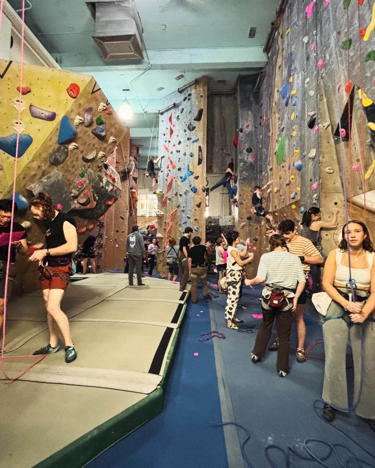 A group of people are standing in front of a climbing wall