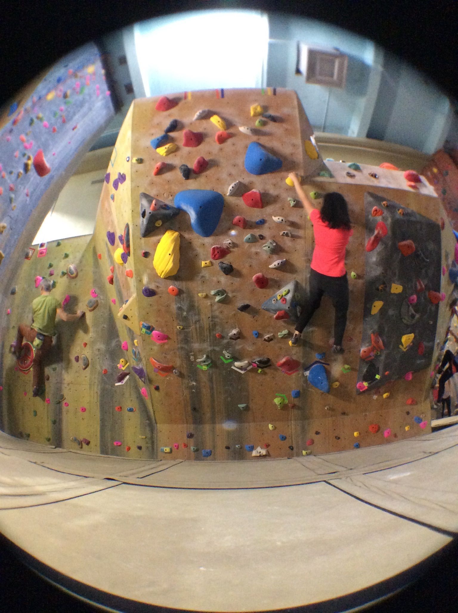 A woman in a red shirt is climbing a climbing wall