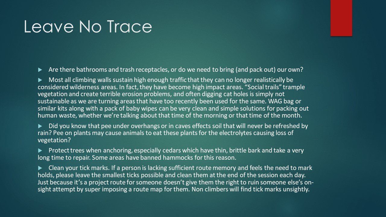 Leave no trace is written on a blue background