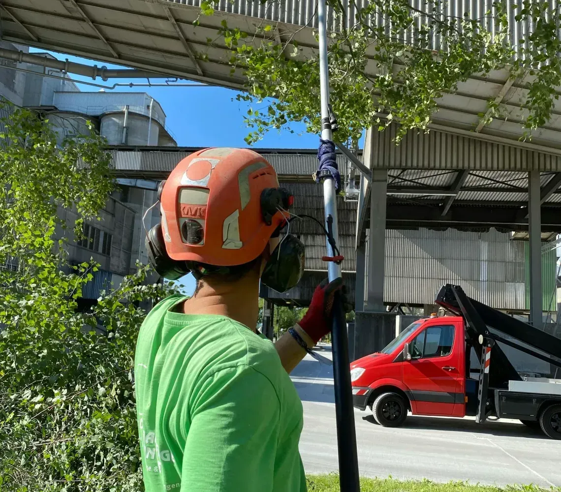 kmitt's-tree-service-faq-image