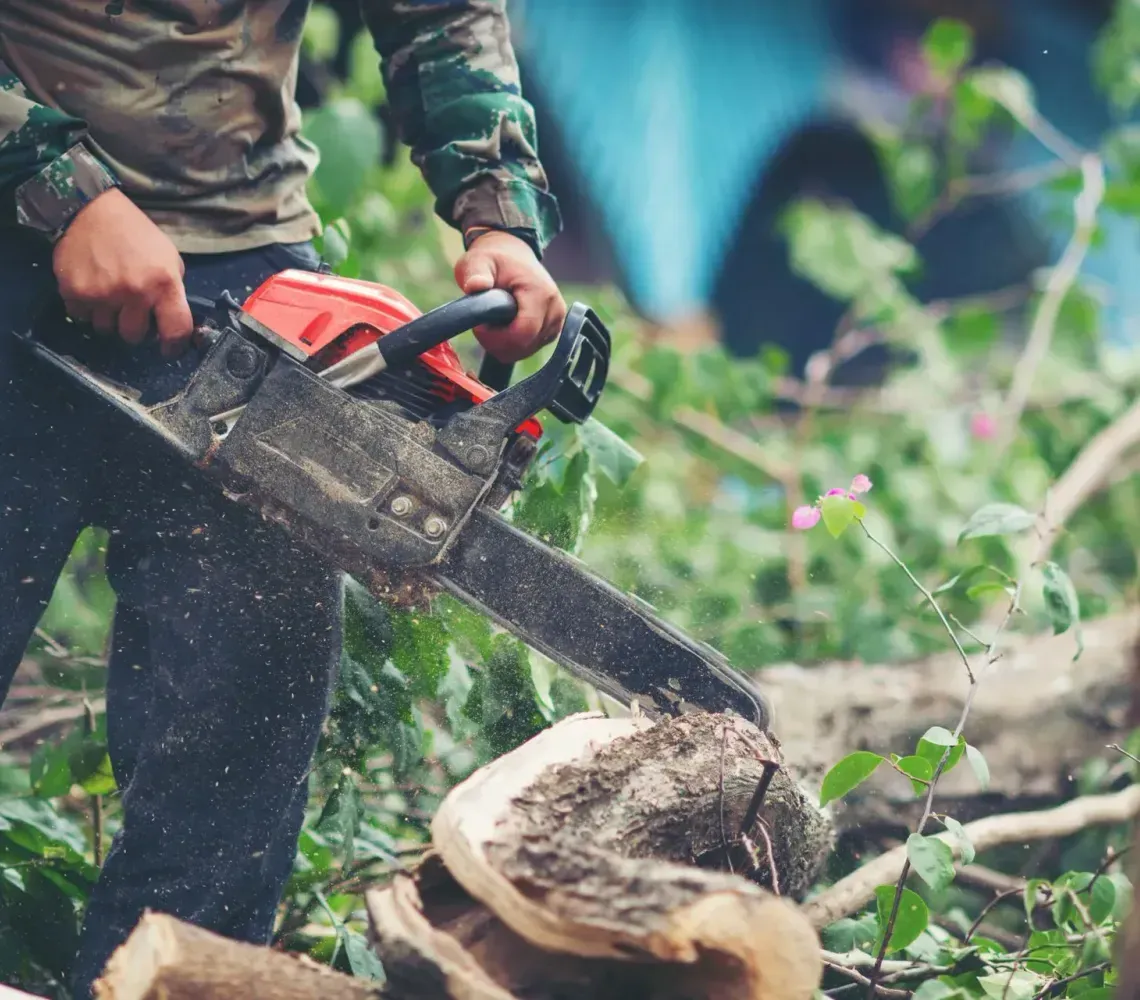 kmitt's-tree-service-faq-image